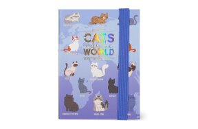 LEGAMI 12-MONTH DIARY - 2025 - MINI PHOTO 2-DAY DIARY - KITTY AG2512121